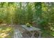 Relaxing backyard with a picnic table, surrounded by trees and lush greenery at 508 E Trinity Ave, Durham, NC 27701