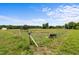 Pasture with an animal shelter, watering trough and fencing at 5423 Nc-39, Selma, NC 27576