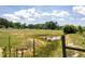 Overhead view of a pond and sprawling green field at 5423 Nc-39, Selma, NC 27576