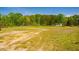 Expansive grassy land with a fence line and mature trees, ideal for various outdoor activities and agricultural pursuits at 5916&5918 Laws Farm Rd, Rougemont, NC 27572