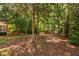 Forested backyard providing privacy and shade for peaceful enjoyment of nature surrounding the property at 72103 Moseley, Chapel Hill, NC 27517