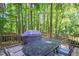 An outdoor dining set on a deck is nestled amongst tall trees at 829 Joyner Ct, Wake Forest, NC 27587