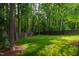 Manicured backyard featuring lush green lawn, bordered by a dark wood privacy fence, surrounded by towering trees at 103 Tremont Cir, Chapel Hill, NC 27516
