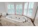 Bright bathroom featuring a tub with jets next to a bank of windows at 103 Tremont Cir, Chapel Hill, NC 27516