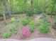 Aerial view of a lush backyard with colorful azaleas, mature trees, a garden gate, and wrought-iron fence at 110 Blackford Ct, Durham, NC 27712