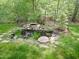 Backyard pond featuring decorative rocks, aquatic plants, and lush greenery at 110 Blackford Ct, Durham, NC 27712