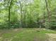 Lush wooded backyard with mature trees, a grassy area, and a pathway through the trees at 110 Blackford Ct, Durham, NC 27712