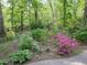 Inviting backyard featuring colorful azaleas, hostas, mature trees, and a decorative metal fence at 110 Blackford Ct, Durham, NC 27712