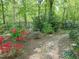 Lush backyard garden with vibrant azaleas, mature trees, and a wrought-iron fence at 110 Blackford Ct, Durham, NC 27712