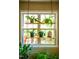 Close up on indoor plants hanging in front of the windows creating a lush botanical aesthetic at 1166 Nc Highway 87 N, Pittsboro, NC 27312