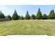 Expansive grassy backyard with a border of mature trees at 120 Shore Pine Dr, Youngsville, NC 27596