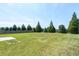 Expansive backyard featuring a lush lawn, mature trees, and a view of the surrounding greenery at 120 Shore Pine Dr, Youngsville, NC 27596