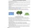 Community amenities include a pool, playground, and nearby parks and trails at 121 Talley Ridge Dr, Holly Springs, NC 27540