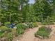 Landscaped backyard featuring a variety of trees, flowers and plants creating a lush and vibrant outdoor space at 123 Beech Forest Way, Pittsboro, NC 27312