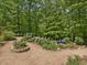 Landscaped backyard featuring a variety of trees, flowers and plants creating a lush and vibrant outdoor space at 123 Beech Forest Way, Pittsboro, NC 27312