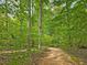 Scenic property showcasing a wooded path winding through lush greenery and tall trees at 123 Beech Forest Way, Pittsboro, NC 27312