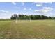 Spacious backyard featuring a lush grassy field and a soccer goal, perfect for outdoor activities and sports at 123 Hawick Ct, Zebulon, NC 27597