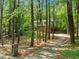 Traditional two-story home nestled among mature trees, featuring a long driveway and manicured lawn at 1509 Cumberland Rd, Chapel Hill, NC 27514