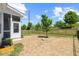 A vast backyard with a black metal fence, grass that has been seeded, and a young tree at 1513 Armscroft Lane, Apex, NC 27502