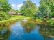 Scenic pond view with a fountain, surrounded by lush greenery and mature trees at 213 Summerwalk Cir, Chapel Hill, NC 27517