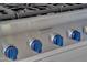 Close-up of a Thermador gas range with blue knobs and stainless steel finish in a modern kitchen at 2306 Byrd St, Raleigh, NC 27608