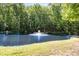 A picturesque pond with a fountain, surrounded by lush greenery and mature trees, creating a serene setting at 2913 Escondido Farm Rd, Garner, NC 27529