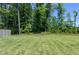 Expansive backyard with lush green grass, surrounded by mature trees, offering privacy and space for outdoor activities at 3017 Ginger Hill Ln, Durham, NC 27703
