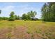 Large grassy yard with mature trees in the distance and outbuildings beyond the lawn at 380 Perdues Rd, Louisburg, NC 27549