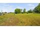 Overlooking a spacious and well-maintained green lawn with mature trees and structures in the distance at 380 Perdues Rd, Louisburg, NC 27549