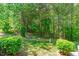 Picturesque backyard with a lush green lawn and mature trees offering a sense of privacy at 4535 Sugarbend Way, Raleigh, NC 27606