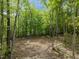 The level backyard has been cleared to make a perfect area for outdoor games and activities at 5402 Shealtiel Way, Rougemont, NC 27572