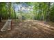 A wooded backyard with a cleared space for children to play and mature trees at 5402 Shealtiel Way, Rougemont, NC 27572