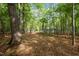 A peaceful wooded lot featuring mature hardwoods providing ample privacy for a new build at 5402 Shealtiel Way, Rougemont, NC 27572