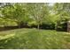 Green backyard with mature trees, creating a serene and private outdoor space, perfect for relaxation at 5512 Bridgeman Ct, Durham, NC 27703