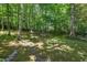Lush backyard featuring mature trees that offer shade and greenery in a peaceful setting at 6509 Mountain Brook Ln, Raleigh, NC 27615