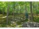 Backyard surrounded by trees and rocks and a playset for children to enjoy at 6509 Mountain Brook Ln, Raleigh, NC 27615