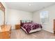 Comfortable bedroom with a double bed, soft carpet, and ample natural light at 729 Little Patch St, Zebulon, NC 27597