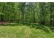 Expansive lush green backyard surrounded by mature trees, offering a private outdoor space at 800 Oxbow Crossing Rd, Chapel Hill, NC 27516