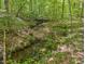 Scenic creek flowing through a wooded area, enhancing the property with natural beauty at 800 Oxbow Crossing Rd, Chapel Hill, NC 27516