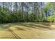 Expansive, well-manicured backyard with a tree line offers space for recreation and outdoor activities at 904 Harrison Ridge Rd, Wake Forest, NC 27587