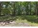Backyard with expansive grass and many trees creating shade at 101 Atchison St, Garner, NC 27529