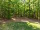 Spacious backyard, surrounded by mature trees, offering peace and privacy at 1037 Lila Ln, Raleigh, NC 27614