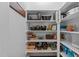 Organized pantry shelves displaying a variety of food items and storage baskets, ensuring ample space for household essentials at 1037 Lila Ln, Raleigh, NC 27614
