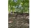 Back of the house among trees at 10505 Winding Wood Trail Trl, Raleigh, NC 27613
