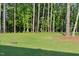Spacious backyard with a manicured lawn and trees at 1520 Banks Brooke Dr, Raleigh, NC 27603