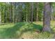 View of a wooded area in the backyard at 1520 Banks Brooke Dr, Raleigh, NC 27603
