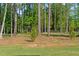 Trees and fenced area of backyard at 1520 Banks Brooke Dr, Raleigh, NC 27603