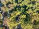 Aerial view of the property lot, outlined in yellow, surrounded by trees at 1613 Kilmer Ter, Durham, NC 27703