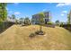 Expansive backyard featuring well-maintained lawn, a charming garden, and a secure fence at 221 Obsidian Dr, Holly Springs, NC 27540