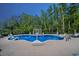Stunning private pool area featuring integrated fountains and a basketball hoop at 221 Obsidian Dr, Holly Springs, NC 27540